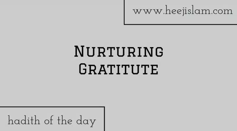 nurturing gratitute